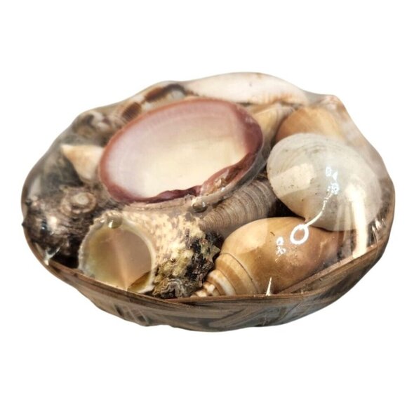 Decorative Seashell Basket Set of 2 For Home Decor & Crafts 5"x 3" - Picture 3 of 9